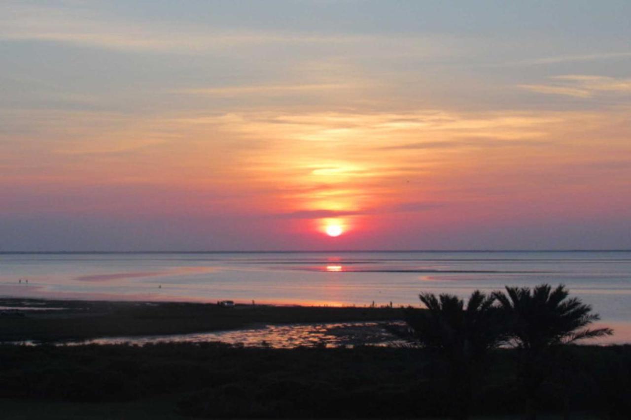 Pointe West Family Retreat Balcony And Ocean Views! Lejlighed Galveston Eksteriør billede